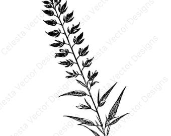 Fireweed stem vector clipart set - 4 digital download images for cricut, silhouette, svg, png, jpg, pdf, eps files included