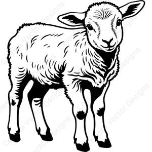 May include: A black and white illustration of a lamb, depicted in a standing pose. The lamb has a fluffy coat, detailed facial features, and is set against a white background. The image is a vector design.