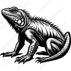 Iguana portrait clipart set - 4 vector images for digital download svg png jpg pdf eps - perfect for cricut and silhouette