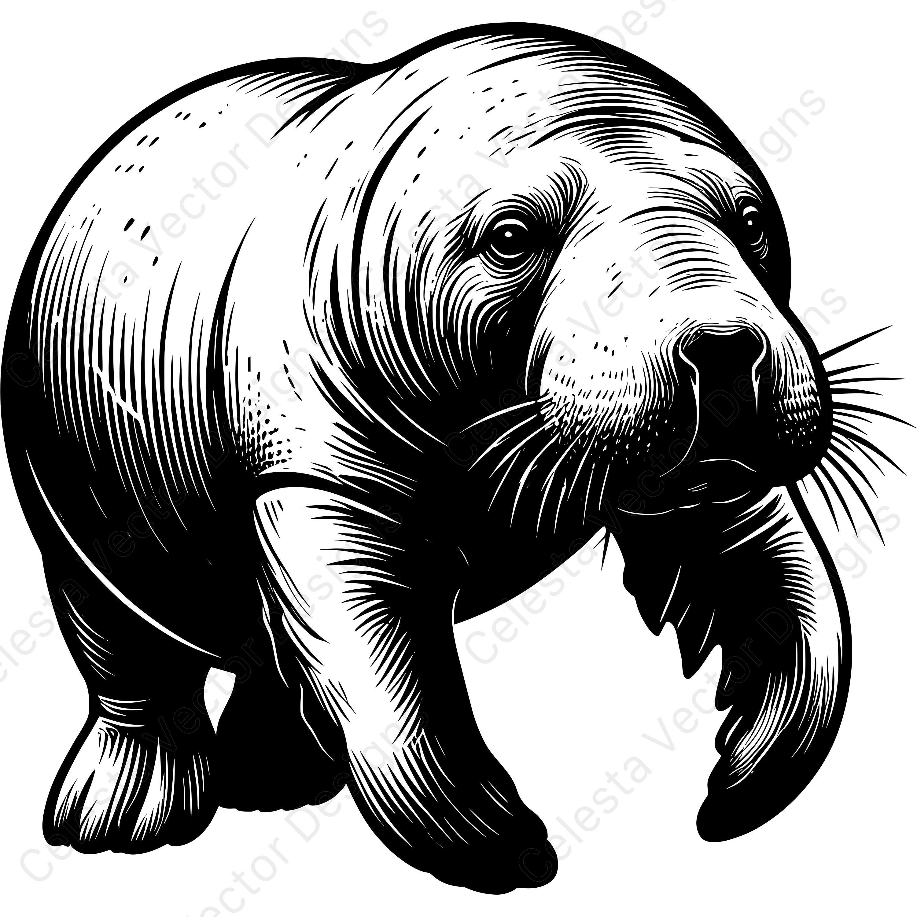 Manatee Vector File Manatee Portrait Vector Clipart Set of 4 Images Digital Download Svg ...