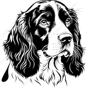 Op de afbeelding: Zwart-wit illustratie van een hondenhoofd. De hond heeft lang, golvend haar, met een witte snuit en gezicht, en zwarte markeringen rond de ogen en oren. De neus van de hond is zwart en de ogen zijn open.
