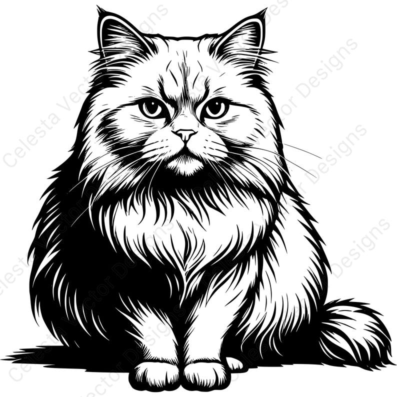 Persian Cat Portrait Clipart Set - 4 Vector Images for Digital Download ...