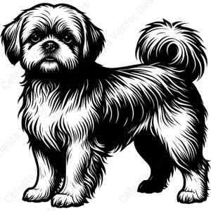 Download digitale di 4 immagini vettoriali di ritratto di Shih Tzu in formato SVG, PNG, JPG, PDF ed EPS per progetti Cricut e Silhouette
