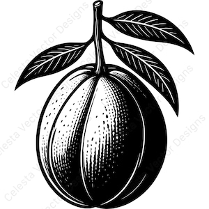 Mango fruit vector clipart digital download - 4 images in svg, png, jpg, pdf, eps for cricut and silhouette projects