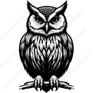 Owl vector clipart - 4 images digital download for cricut, silhouette - svg, png, jpg, pdf, eps files included