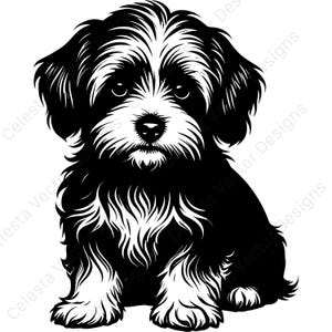 以下が含まれることがあります： ハバニーズのような小型犬の白黒イラスト。犬は座っており、詳細な毛並みとフレンドリーな表情で、正面を向いています。この画像はベクターグラフィックで、さまざまな用途に適しています。