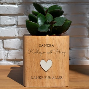 May include: A wooden planter box with a succulent plant. The box has the name "Sandra", the phrase "Kollegin mit Herz", a white heart, and the phrase "DANKE FÜR ALLES" engraved on the front. The plant has dark green leaves.
