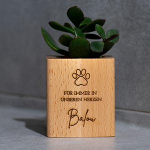 Könnte beinhalten: Kleiner, quadratischer Holztopf mit einer grünen Sukkulentenpflanze. Der Topf hat einen Pfotenabdruck und die Worte "FÜR IMMER IN UNSEREN HERZEN" und den Namen "Balou" auf der Vorderseite eingraviert.