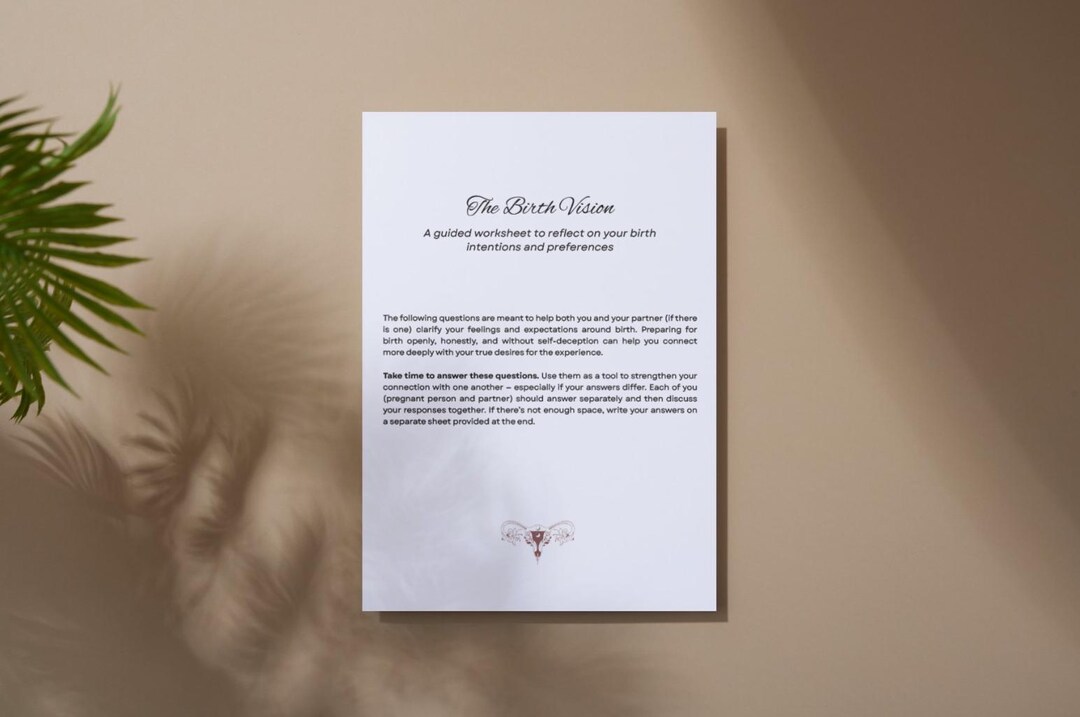 Birth Plan (vision) Journal Worksheet – Printable & Fillable PDF for ...