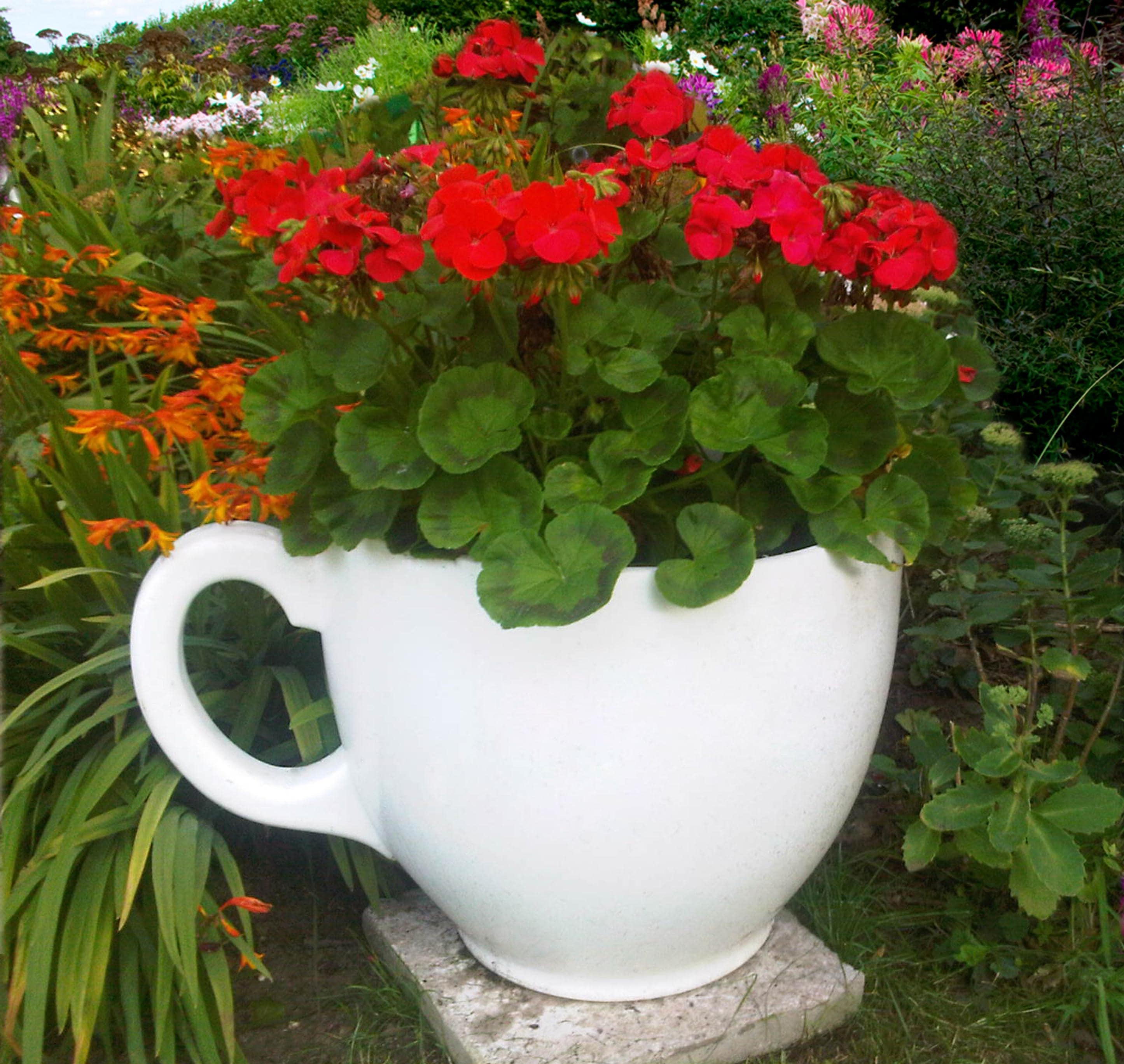 Tea Cup Planter