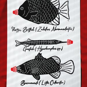 Linoprint Fish Art Print – Limited Edition of 20 Barramundi, Garfish, Batfish Art (A4)