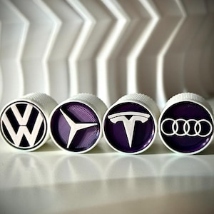 May include: Four car logo emblems: Volkswagen, Mercedes-Benz, Tesla, and Audi. Each emblem is white on a purple background, set within a white circular frame. The emblems are arranged in a row, with a textured white background.