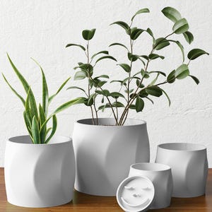 May include: A collection of white, modern-style planters in various sizes, each with a unique, curved design. The planters hold green plants with long, slender leaves and a small, round planter with a smiling face design. The planters are on a wooden surface.