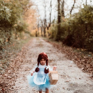 Ready to SHIP HALLOWEEN Wizard of OZ Dorothy Tutu Costume Gingham dress up, Girls Baby Toddler Kids image 3