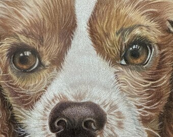 Vintage Original Sketch Cavalier King Charles Spaniel Signed-Artist M. McCarthy