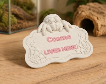 Etiqueta personalizada para araña saltarina – Letrero magnético para terrario de araña, decoración personalizada impresa en 3D para hábitat de arácnidos, regalo para araña mascota