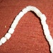 5x4mm to 6x5mm,light peach,cats eye round tube, Sold per 15-inch strand
