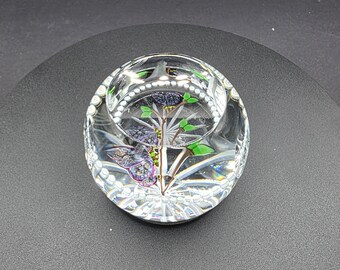 Limited Edition Butterfly Duet Whitefriars Caithness Glass Paperweight - 84/250
