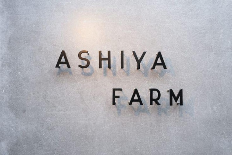 Floating Metal Letters, 2D and 3D Raised Letters, Modern Business Sign ...