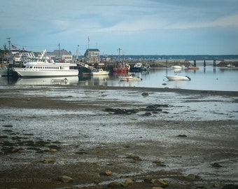 PLYMOUTH HARBOR, MASSACHUSETTS, Coastal, Atlantic, Ocean, New England, Travel, Liz Thomas