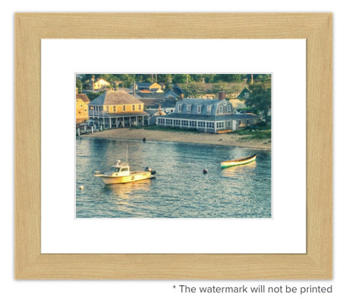 MARTHA'S VINEYARD Fine Art Photography, VINEYARD Haven, Black Dog