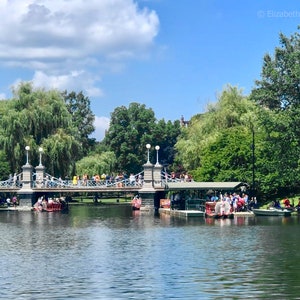 SWAN Boats at BOSTON Public Gardens, Massachusetts, Travel, City Art, Landscape, Elizabeth Thomas