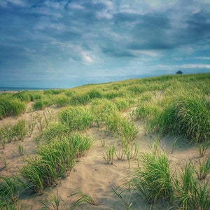 PROVINCE LANDS just outside PROVINCETOWN, Cape Cod, Massachusetts, Beach, Coastal, Atlantic Ocean, Fine Art, New England, Nature Art, Travel