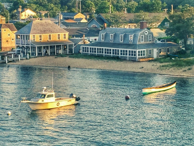 MARTHA'S VINEYARD Fine Art Photography, VINEYARD Haven, Black Dog