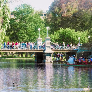 BOSTON PUBLIC GARDENS, Boston photography, Massachusetts, City Art, Public Gardens, Swan Boats, Boston print, image 1