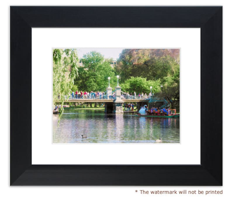 BOSTON PUBLIC GARDENS, Boston photography, Massachusetts, City Art, Public Gardens, Swan Boats, Boston print, image 2