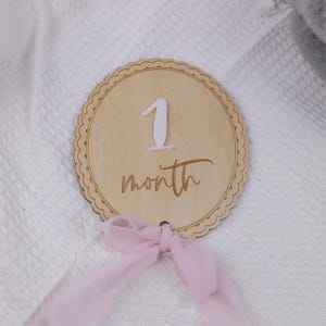 Baby Monthly Milestone, Wooden Baby Milestone Signs, Baby Milestone Discs, Baby Photo Props Cards Interchangeable, Baby Growth Recording