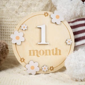 Cartes d'étape mensuelle pour bébé - disques en bois d'étape mensuelle - accessoires de photographie de nouveau-né pour documenter la croissance de bébé - faire-part de naissance