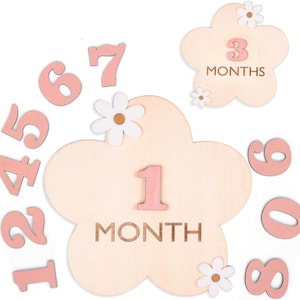 Baby Girl Monthly Milestone Plaque, Wooden Baby Milestone Sign Flower, Newborn Photography Prop, Baby Shower, Baby Announcement Sign