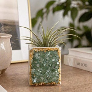 May include: A square, white planter with a gold-leaf trim and a green, crystal-like interior. The planter holds a small, green air plant. The planter is sitting on a wooden surface.