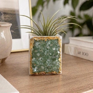 May include: A square white planter with a gold leaf trim, filled with green crushed stone and a small air plant. The planter sits on a wooden surface, with a blurred background.