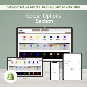 カラーオプション Shopifyセクション | カスタムスウォッチ | カラービン | テーママッチング | ドラッグ＆ドロップビルダー | CSSオプション
