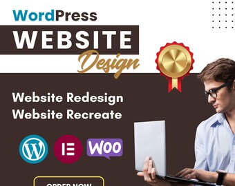 Create, redesign modern business Recreate WordPress website design or blog