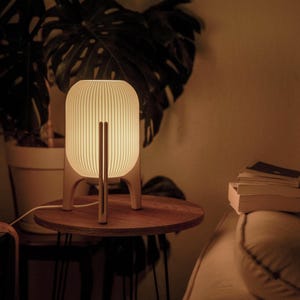 Sora Rocket Lamp – Mid-Century Organic Table Light for Modern Interiors