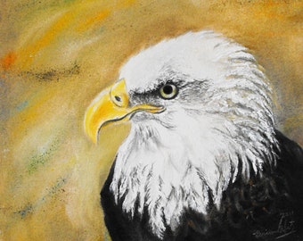 Original Wild Eagle Pastel - 9x10 Profile Wildlife Illustration on Textured Watercolor Paper of a Beautiful Bald Eagle, Acrylic Paint Accent