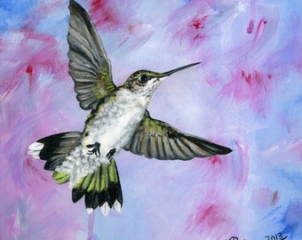 A Hummingbird's Pink Dream Giclée Archival Print - Paper or Canvas - Female Broad-tailed Hummingbird - Part of a Set of 3 - Various Sizes