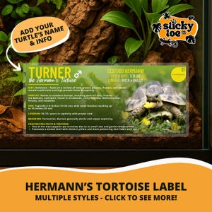 Custom Hermann’s Tortoise Label – Laminated Enclosure Tag for Testudo hermanni – 3 Customization Options