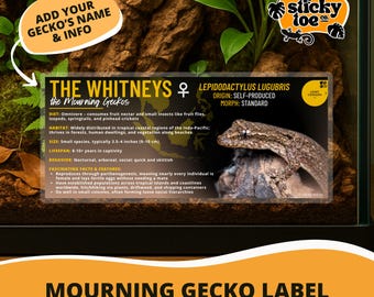 Custom Mourning Gecko Label – Laminated Enclosure Tag for Lepidodactylus lugubris – 3 Customization Options