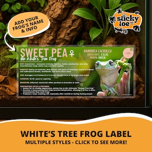 Custom White’s Tree Frog Label – Laminated Enclosure Tag for Ranoidea caerulea – Multiple Styles & Customization Options