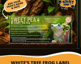 Custom White’s Tree Frog Label – Laminated Enclosure Tag for Ranoidea caerulea – Multiple Styles & Customization Options