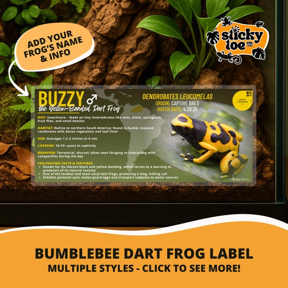 Custom Yellow-banded Dart Frog Label – Laminated Enclosure Tag for