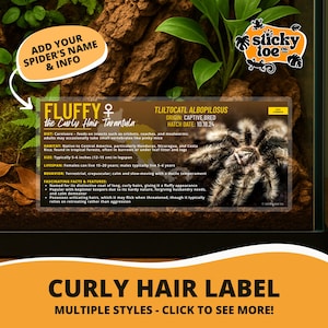 Custom Curly Hair Tarantula Label – Laminated Enclosure Tag for Tliltocatl albopilosus – 3 Customization Options