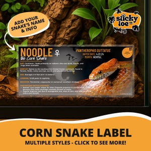 May include: A corn snake label with the name "NOODLE" and information about the snake's diet, habitat, size (0.9-1.5 metres), and lifespan. The label also includes the scientific name Pantherophis Guttatus and the hatch date.