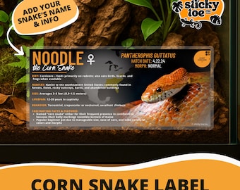 Custom Corn Snake Label – Laminated Enclosure Tag for Pantherophis guttatus – Multiple Styles & Customization Options