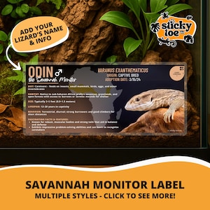 May include: A terrarium with a Savannah Monitor lizard, labeled "Odin." The label provides details on the lizard's diet, habitat, size (3-5 feet), and lifespan (12-20 years). The image also includes the text "Savannah Monitor Label - Multiple Styles - Click to See More!"