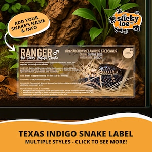 Peut inclure: Étiquette pour un serpent indigo du Texas, nommé "RANGER", avec le nom scientifique "Drymarchon melanurus erebennus". L'étiquette fournit des informations sur le régime alimentaire, l'habitat, la taille (1,5-2,4 mètres) et les caractéristiques du serpent. L'étiquette est dans un terrarium.